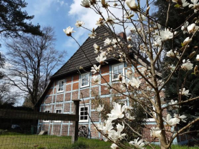 Schönes Apartment vor den Toren Hamburgs - keine Monteurwohnung